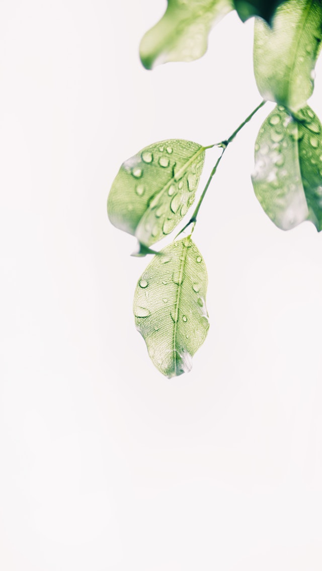 Landlord Tips Eco Friendly Rentals